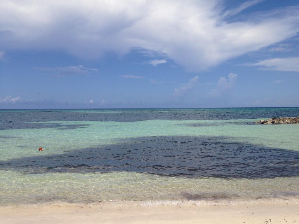 Seacastles By The Beach/Pool Montego Bay Eksteriør bilde